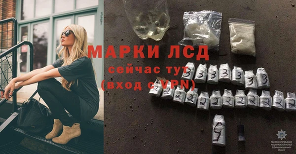 спайс Аркадак