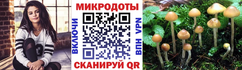 Галлюциногенные грибы Psilocybe  Сердобск 